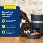 PetSafe Smart Feed, Electronic Pet Feeder for Cats & Dogs, 6L/24 Cup Capacity, Programmable Mealtimes, Alexa, Apple & Android Compatible, Backup Batteries Ensure Meal Delivery During Power Outage - Image 3