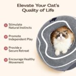 Peekaboo Cat Cave Donut - Cat Tunnel Bed for Indoor Cats – Cute Patterns Hideaway for Multiple & Large Cats, Scratch-Resistant (Dark Gray) - Image 9