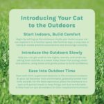 Kitty City Outdoor Catio Furniture and Play Kits for Cats, Outdoor Mega Kit - Amazon.com - Image 10