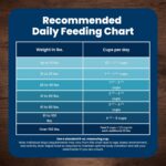 Blue Buffalo Life Protection Formula Chicken & Brown Rice Adult Dry Dog Food, Supports Immunity with Antioxidant-Rich LifeSource Bits, Promotes Healthy Muscle Development, Skin & Coat Health, 15 lbs. - Image 9