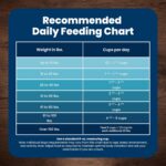 Blue Buffalo Life Protection Formula Chicken & Brown Rice Adult Dry Dog Food, Supports Immunity with Antioxidant-Rich LifeSource Bits, Promotes Healthy Muscle Development, Skin & Coat Health, 5 lbs. - Image 10