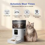 ANDOLL HOME Automatic Cat Feeder, 4L Cat Food Dispenser with 10s Voice Recorder, Pet Feeder up to 8 Meals per Day, Timed Dog Feeder with Dry Food Sealed Ring - Image 3
