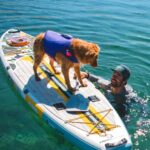 Ruffwear, Float Coat Dog Life Jacket, Premium Buoyancy Swim Vest with Lift Handle, Secure Fit & Reflective Trim, Adjustable Flotation for Swimming, Boating, & Outdoor Adventures, Purple Lily, Small - Image 11