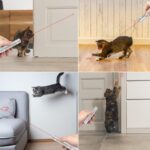 TBTeek Cat Toys, Rechargeable, 3 Light Modes & 5 Fun Patterns, Portable Interactive Kitten Pet Dog Cat Mouse Toy for Fun Chase Play Exercise - Image 3