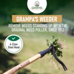 Grampa's Weeder - The Original Stand Up Weed Puller Tool with Long Handle - Made with Real Bamboo & 4-Claw Steel Head Design - Easily Remove Weeds Without Bending, Pulling, or Kneeling. - Image 3
