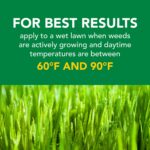 Scotts Turf Builder Weed and Feed 3, 15,000 sq. ft. - Image 10