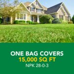 Scotts Turf Builder Weed and Feed 3, 15,000 sq. ft. - Image 11