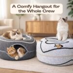 Peekaboo Cat Cave Donut - Cat Tunnel Bed for Indoor Cats – Cute Patterns Hideaway for Multiple & Large Cats, Scratch-Resistant (Light Gray) - Image 3