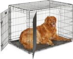 MidWest Homes for Pets 42-Inch iCrate for Large Breeds, 71-90 lbs, Double Door Folding Dog Crate with Divider Panel, Leak-Proof Tray & Secure Latches, Portable, Durable & Easy to Assemble - Image 2