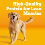 Pedigree Adult Dry Dog Food, Complete Nutrition, Grilled Steak & Vegetable Flavor, 18 lb. Bag - Image 3