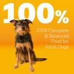 Pedigree Adult Dry Dog Food, Complete Nutrition, Grilled Steak & Vegetable Flavor, 18 lb. Bag - Image 4