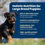 Blue Buffalo Life Protection Formula Chicken & Brown Rice Large Breed Puppy Dry Dog Food with DHA & ARA, Supports Immunity with LifeSource Bits, Promotes Healthy Muscles & Strong Bones, 30 lbs. - Image 4