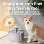Veken Innovation Award Winner Stainless Steel Cat Water Fountain, 108oz/3.2L Automatic Pet Fountain Dog Water Dispenser with 3 Replacement Filters & Silicone Mat, Gifts for Cats, Dogs (Silver) - Image 7