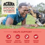 ACANA Wholesome Grains Dry Dog Food Red Meat & Grains Beef Pork & Lamb Recipe 4lb Bag - Image 4