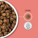 ACANA Wholesome Grains Dry Dog Food Red Meat & Grains Beef Pork & Lamb Recipe 4lb Bag - Image 6