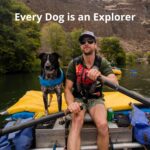 Ruffwear, Float Coat Dog Life Jacket, Premium Buoyancy Swim Vest with Lift Handle, Secure Fit & Reflective Trim, Adjustable Flotation for Swimming, Boating, & Outdoor Adventures, Wave Orange, Small - Image 10
