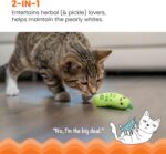 Catstages Crunchy Pickle Kicker Cat Toy – Plush Crinkle Toy with Catnip and Dental Mesh, 6.5" - Image 4