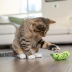 Catstages Crunchy Pickle Kicker Cat Toy – Plush Crinkle Toy with Catnip and Dental Mesh, 6.5" - Image 9