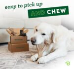 Benebone Medium 4-Pack Dog Toys for Aggressive Chewers – Durable Dog Bones, Made in USA – Dog Toys for Medium Dogs Under 60 lbs - Image 3