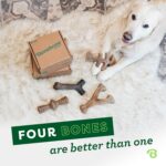Benebone Medium 4-Pack Dog Toys for Aggressive Chewers – Durable Dog Bones, Made in USA – Dog Toys for Medium Dogs Under 60 lbs - Image 6