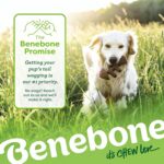 Benebone Medium 4-Pack Dog Toys for Aggressive Chewers – Durable Dog Bones, Made in USA – Dog Toys for Medium Dogs Under 60 lbs - Image 8