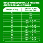 IAMS Proactive Health Adult Minichunks Premium Dry Dog Food, Adult Dog Food Dry Recipe, 30 lb. Bag - Image 11