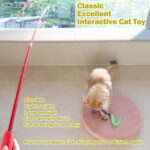MeoHui Cat Toys for Indoor Cats, Interactive Cat Toy 2PCS Retractable Wand Toy and 9PCS Cat Feather Toys Refills, Funny Kitten Toys Cat Fishing Pole Toy for Bored Indoor Cats Chase and Exercise - Image 3