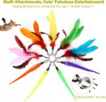 MeoHui Cat Toys for Indoor Cats, Interactive Cat Toy 2PCS Retractable Wand Toy and 9PCS Cat Feather Toys Refills, Funny Kitten Toys Cat Fishing Pole Toy for Bored Indoor Cats Chase and Exercise - Image 6