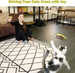 MeoHui Cat Toys for Indoor Cats, Interactive Cat Toy 2PCS Retractable Wand Toy and 9PCS Cat Feather Toys Refills, Funny Kitten Toys Cat Fishing Pole Toy for Bored Indoor Cats Chase and Exercise - Image 8