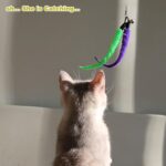 MeoHui Cat Toys for Indoor Cats, Interactive Cat Toy 2PCS Retractable Wand Toy and 9PCS Cat Feather Toys Refills, Funny Kitten Toys Cat Fishing Pole Toy for Bored Indoor Cats Chase and Exercise - Image 9