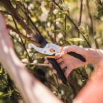 Fiskars Bypass Pruning Shears, 5/8" Cut Capacity Gardening Scissors, Self-Cleaning Sap Groove Prevents Sticking, Non-Slip Grip for Cutting Stems & Branches, Sharp Steel Blades w/ Low-Friction Coating - Image 12