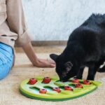 Catstages Nina Ottosson Buggin’ Out Puzzle & Play Cat Puzzle Feeder – Interactive Treat Game for Indoor Cats, Level 2 Slow Feeder Enrichment Toy, 13.9" x 11.5" - Image 9