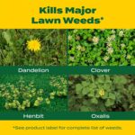 Scotts Liquid Turf Builder with Plus 2 Weed Control Ready-to-Spray - Liquid Weed Killer and Grass Fertilizer, Hose-End Applicator, 32 fl. oz. - Image 4