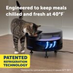 PetSafe FreshFeed Refrigerated Pet Feeder Automatic Wet Food Feeder for Cats & Small Dogs App Control 6 Fresh Meals Stainless Steel Inserts Black - Image 3