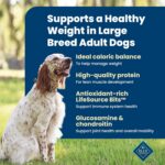 Blue Buffalo Life Protection Formula Chicken & Brown Rice Healthy Weight Large Breed Adult Dry Dog Food, Supports Immunity With LifeSource Bits, Promotes Healthy Lean Muscles & Weight Control, 30 lbs. - Image 4