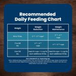 Blue Buffalo Life Protection Formula Chicken & Brown Rice Healthy Weight Large Breed Adult Dry Dog Food, Supports Immunity With LifeSource Bits, Promotes Healthy Lean Muscles & Weight Control, 30 lbs. - Image 9
