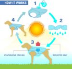 Kurgo Dog Core Cooling Vest - Summer Cooling Jacket - Evaporative Cooling Coat - Harness-Compatible - Reflective Accents - Grey - Small - Image 4
