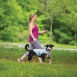 Kurgo Dog Core Cooling Vest - Summer Cooling Jacket - Evaporative Cooling Coat - Harness-Compatible - Reflective Accents - Grey - Small - Image 5