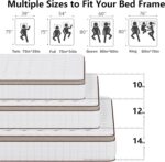 Queen Mattress,12 Inch Hybrid Queen Size Mattresses in a Box,Memory Foam & Pocket Spring,Medium Firm for Pressure Relief,Motion Isolation,Fiberglass Free,CertiPUR-US,80" Lx 60" W - Image 8