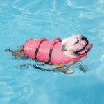 Outward Hound Granby Splash Pink Dog Life Jacket, Medium - Image 7