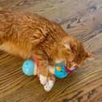 Catstages Electronic Dancing Ostrich Interactive Cat Toy, Wobbles and Plays Music, Battery Powered, Plush, Blue - Image 7