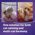 FELIWAY Optimum Cat Calming Diffuser Kit and 1 Pack Refill – Advanced Support to Help Reduce Urine Spraying, Scratching, Fighting and Hiding Due to Stress – All in One Cat Pheromone Plug in Diffuser - Image 3