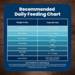 Blue Buffalo Life Protection Formula Chicken & Brown Rice Adult Dry Dog Food, Supports Immunity with Antioxidant-Rich LifeSource Bits, Promotes Healthy Muscle Development, Skin & Coat Health, 30 lbs. - Image 9