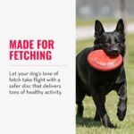 KONG Flyer - Durable Dog Toy for Outdoor Playtime - Natural Rubber Flying Disc, Dog Toy for Fetch - Safer Disc for Healthy Activity - for Medium/Large Dogs - Image 5