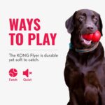 KONG Flyer - Durable Dog Toy for Outdoor Playtime - Natural Rubber Flying Disc, Dog Toy for Fetch - Safer Disc for Healthy Activity - for Medium/Large Dogs - Image 7