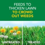 Scotts Turf Builder Weed and Feed 3, 5,000 sq. ft. - Image 12