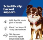 Hill's Science Diet Adult Sensitive Stomach & Skin Small & Mini Dry Dog Food, Chicken, 4 lb. Bag (Updated Formula) - Image 5