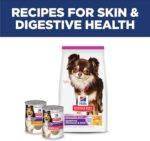 Hill's Science Diet Adult Sensitive Stomach & Skin Small & Mini Dry Dog Food, Chicken, 4 lb. Bag (Updated Formula) - Image 12