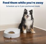 PetSafe Automatic Dog Feeder, 5 Meals, 40 oz Capacity, Plastic, for Dry Food, Multiple Pets - Image 3