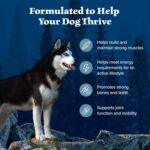 Blue Buffalo Wilderness with Chicken High Protein Dry Dog Food for Adult Dogs, 34% Protein, Supports Immunity with Antioxidant-Rich LifeSource Bits, 28 lbs. - Image 5